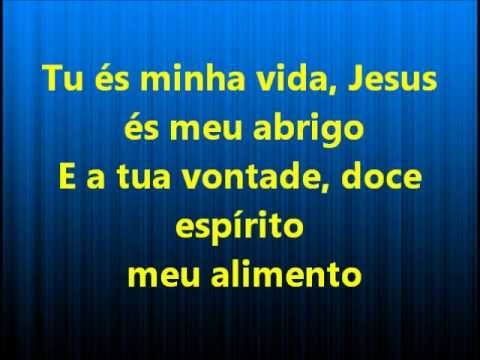 Atrai O Meu Coração - Nani Azevedo(playback legendado)