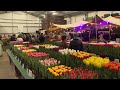 Duizenden kleurrijke tulpen bij Bloembollen Vakdagen