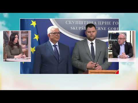 BOJE JUTRA - Pregled štampe - prof. dr Elvir Zvrko, Demokratska partija socijalista | Vijesti online