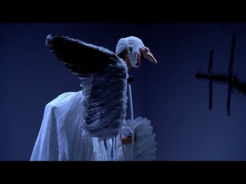 «ЧАЙКА» НА КАМЧАТКЕ | Новости Камчатки | Масс Медиа