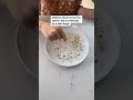 Germs Experiment For Kids Experiments