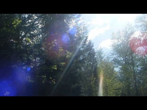 ｆａｄｉｎｇ ｌｉｇｈｔ  -  ｆｒｉｅｎｄｌｙ ｔｏ ｃｒｏｗｓ ＆ ＬｏｃｈＨａｖｅｎ