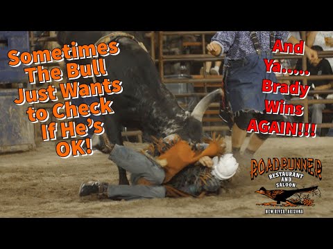 Sometimes The Bull Just Wants To Check If He's OK!