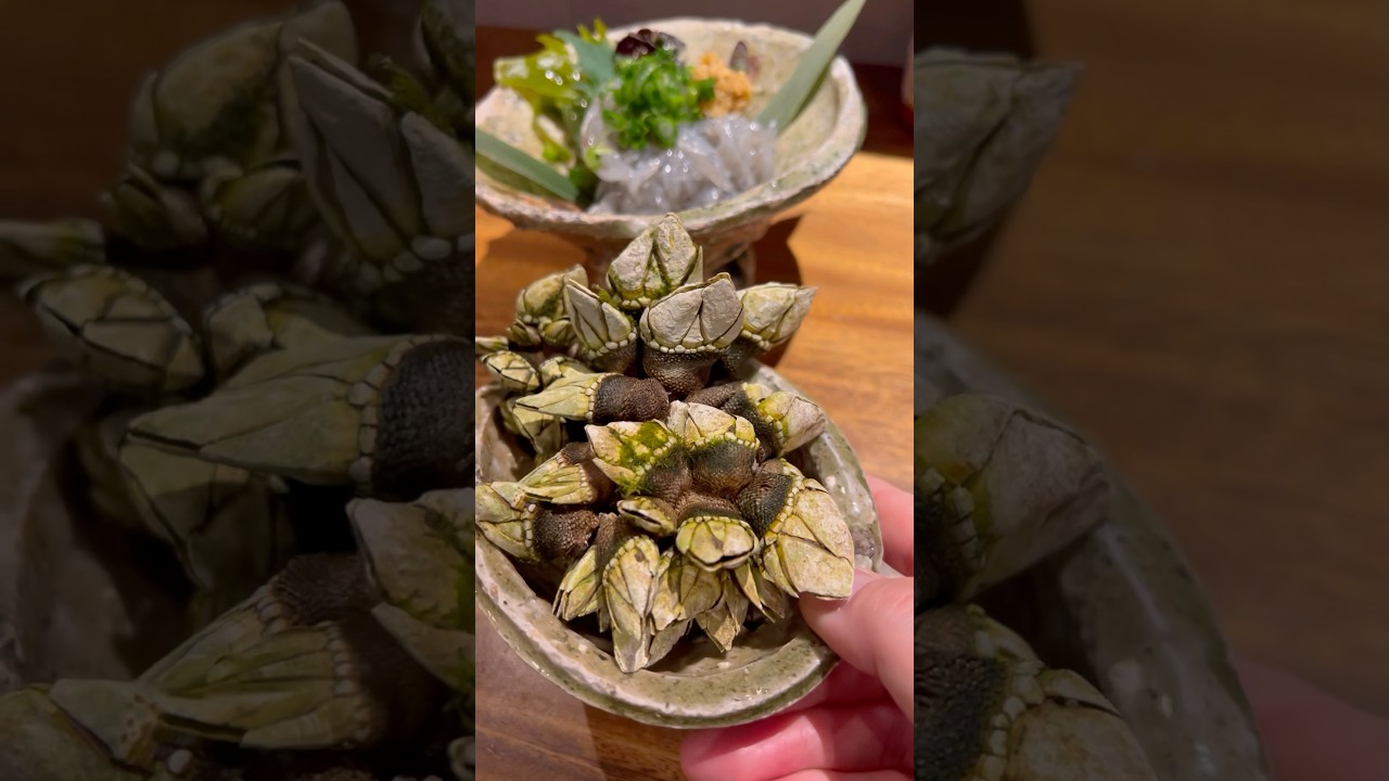 見た目も味も凄い『亀の手』 #japanesefood #名古屋グルメ