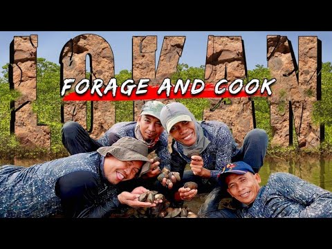 EP856-P1 - Lokan Forage and Cook