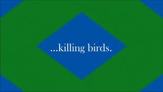 Chris Cornell - Killing Birds