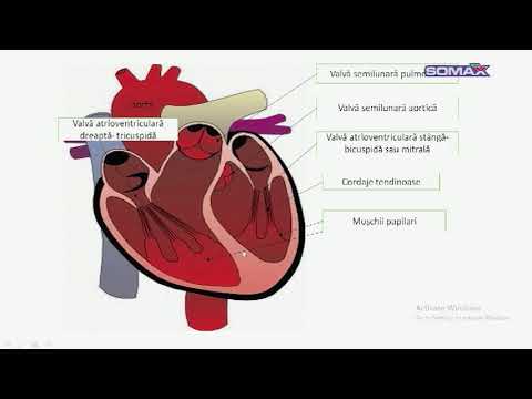 EXAMENE DE NOTA 10 - BACALAUREAT - BIOLOGIE - Prof. LIVIU HUȚANU