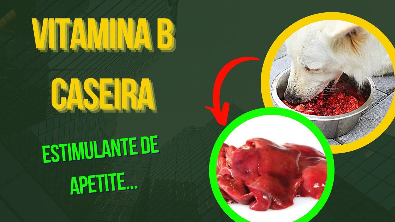 REMÉDIO CASEIRO PARA CACHORRO QUE NÃO QUER COMER - VITAMINA B PARA CÃES ESTIMULA APETITE DEIXA FORTE