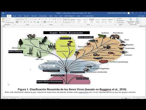 Nueva Unidad 1 parte 1