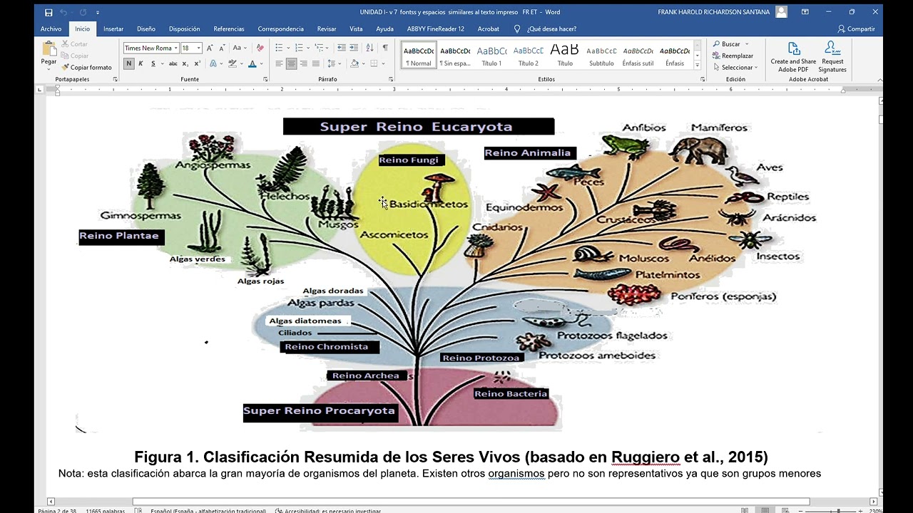 Nueva Unidad 1 parte 1