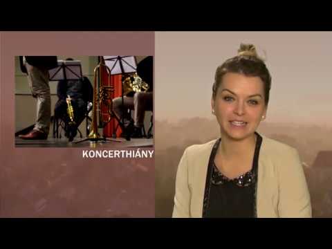 JTV Híradó 2019/46 - 2019.11.17.