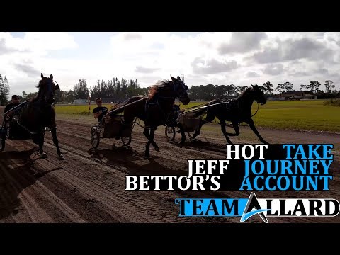 Team Allard 2 Year Olds in Training: Jeff Journey, Bettor's Account, and Hot Take