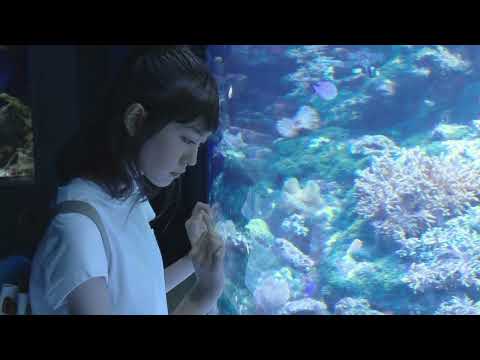 (FREE TO PROFIT) DUST WATER   HYPERPOP X AMBIENT EXPERIMENTAL TYPE BEAT