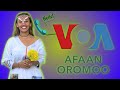 Meski Menge Voa Afaan Oromoo Waliin Turti Aja Ibaa Gote