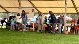 Evro a KV Mladá Boleslav