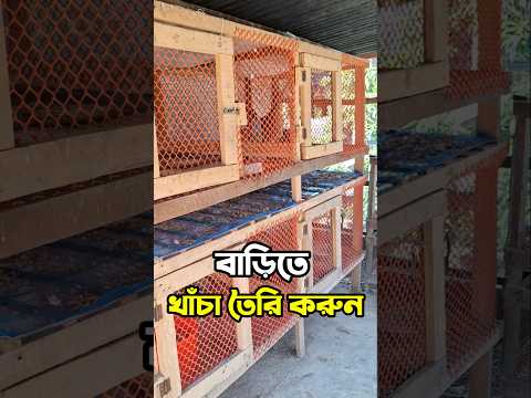 Make a chicken coop🔥| How to raise chickens in a coop #short #shorts #marufanimalslover #youtubes...