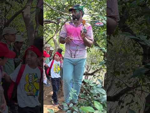 Happy kids camping experience Nisargshala