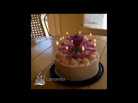 Geburtstagskerze Lotus