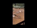 Hurricane Helene Flooding In Tennessee