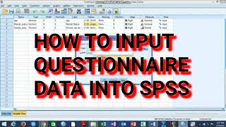 How to Input Questionnaire Data into the SPSS