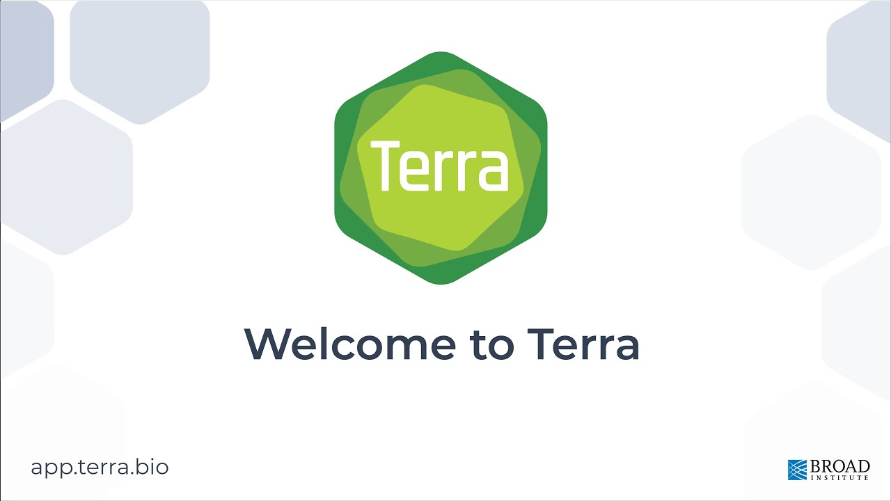 Introduction To Terra