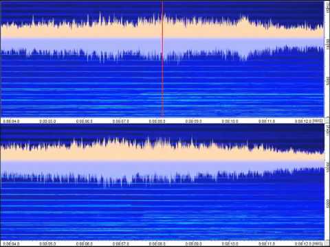 Francis Dhomont - Cycle du son Mov. 2 "AvatArsSon" (1998)