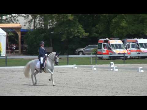 SCHELSTRAETE Micky - ELIN'S NONCISDADOR  - EUROPEAN CHAMPIONSHIPS FOR PONIES 2017 KAPOSVÁR