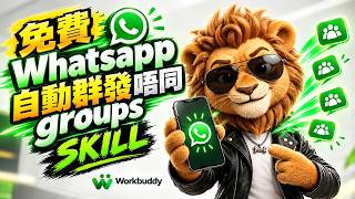 【廣東話】免費Whatsapp自動群發唔同groups SKILL- Workbuddy #AI一人公司 #OPC #AIAgent #FDE #WorkBuddy