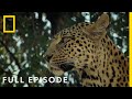 Dawn Of Darkness Full Episode Savage Kingdom