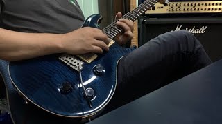 Video thumbnail for PRS CE-22 MapleTop (2001) by Steve KT LEE
