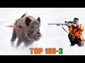 TOP 100 AMAZING WILD BOAR HUNTS - BEST SCENES, HOG HUNTS - PIG  TOP 100 DOMUZ AVI EN İYİ SAHNELER