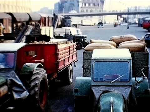 Gebrüder Zimmermann, Neuhof Oberwil, Zurück in die 70er