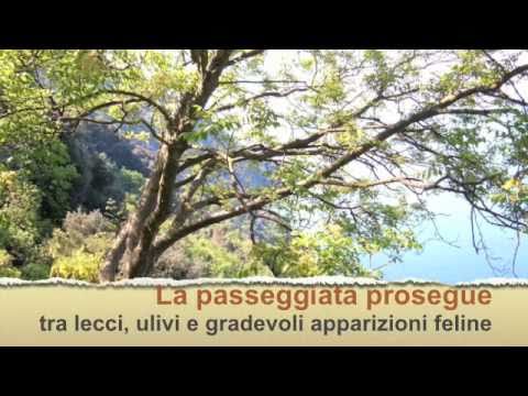 Da Camogli a Punta Chiappa