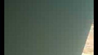 Pstylcho - Snake caught outside hostel ( 1 / 2 )