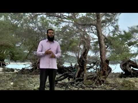 Anbimeehaa akee adhuvveh kamugai vedhaane: sheikh sameeru