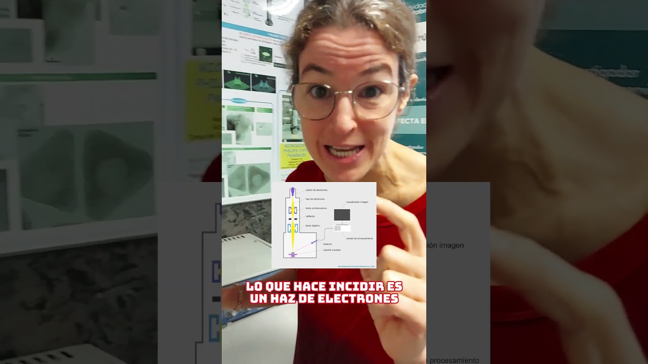 ¿Cómo funciona el microscopio electrónico?🥽