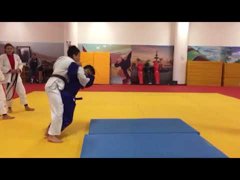 Ippon seoi