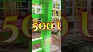 Icon of the Seas: Expectativa vs Realidad 2025 🚢 #shorts