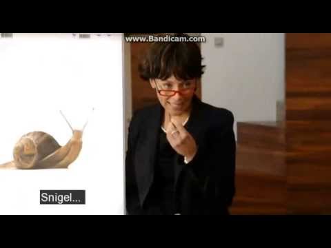 Partaj - Zlatan i Paris: Språklektion hemma