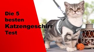 ✅ Top 5 besten Katzengeschirr Test ( Aktualisiert )