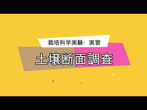 栽培科学実験・実習