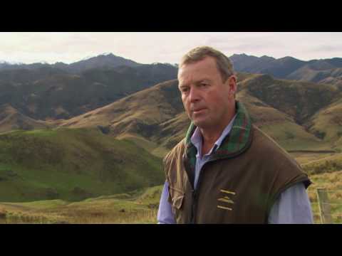 download lagu mp3 mp4 Grass Fed Angus Beef, download lagu Grass Fed Angus Beef gratis, unduh video klip Grass Fed Angus Beef