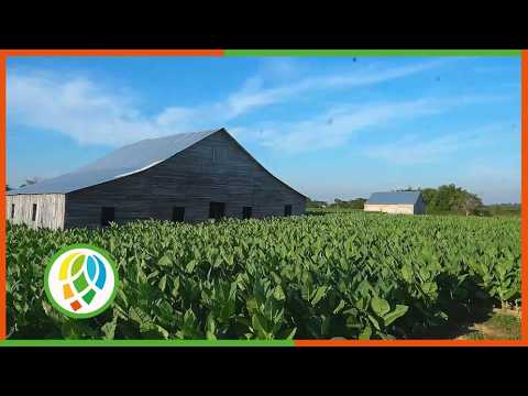 Continúa en el municipio de Consolación del Sur instalación de sistemas de riego con energía solar