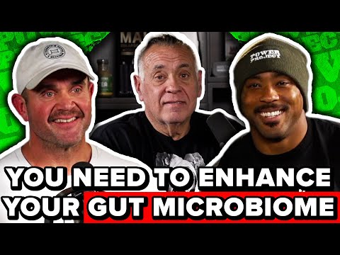 Build & Improve Gut Health Through Lifestyle, Food And Supplementation