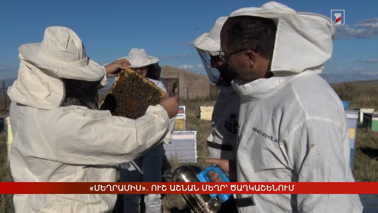 «Մեղրամիս». ուշ աշնան մեղր՝ Ծաղկաշենում