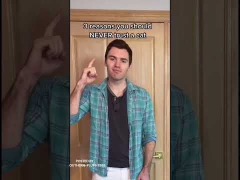 DO NOT TRUST CATS | POSTED BY U/SOUTHERN-PLUM-2939 | #shorts