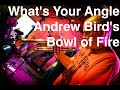 Live Trumpet Improv on 'What's Your Angle' by Andrew Bird's Bowl of Fire