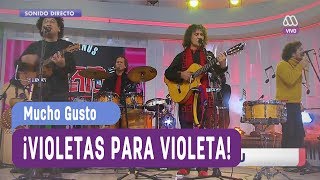 Illapu -Violetas para Violeta - Mucho Gusto 2017