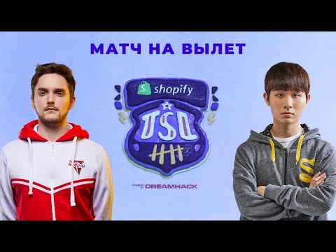 🏆 ShoWTimE vs TY - яркий матч с TSL 5