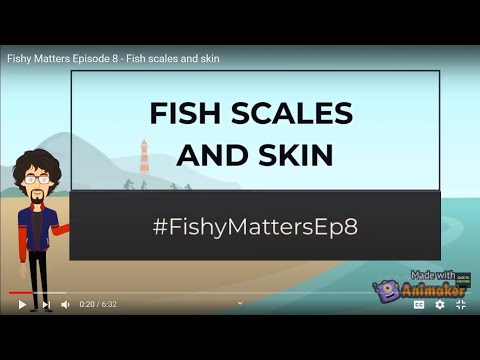 YouTube video about: Does cod fish have fins and scales?